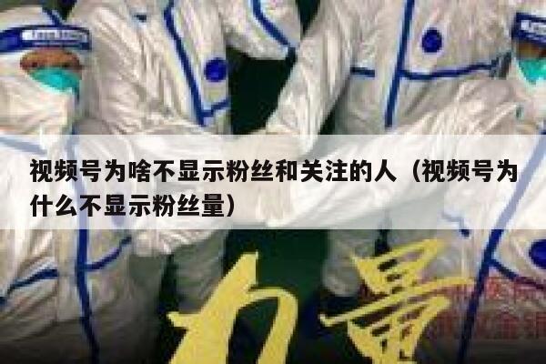 视频号为啥不显示粉丝和关注的人（视频号为什么不显示粉丝量） 第1张