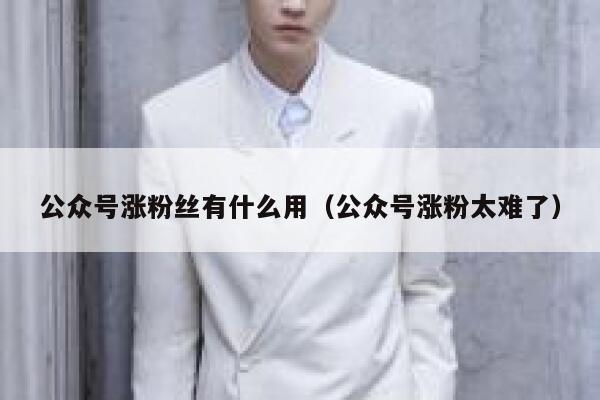 公众号涨粉丝有什么用（公众号涨粉太难了） 第1张