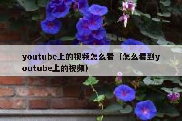 youtube上的视频怎么看（怎么看到youtube上的视频） 第1张