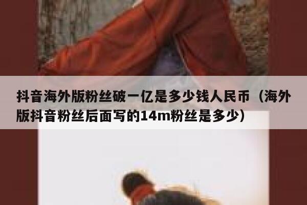 抖音海外版粉丝破一亿是多少钱人民币（海外版抖音粉丝后面写的14m粉丝是多少） 第1张