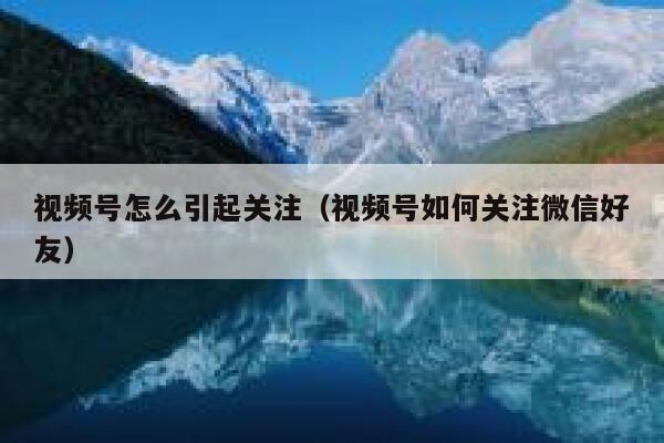 视频号怎么引起关注（视频号如何关注微信好友） 第1张