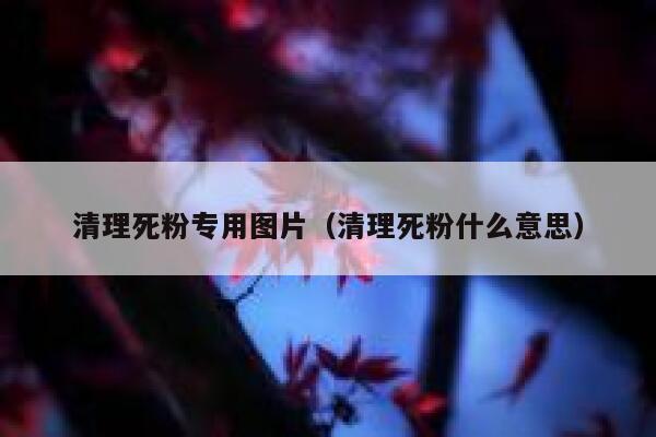 清理死粉专用图片（清理死粉什么意思） 第1张