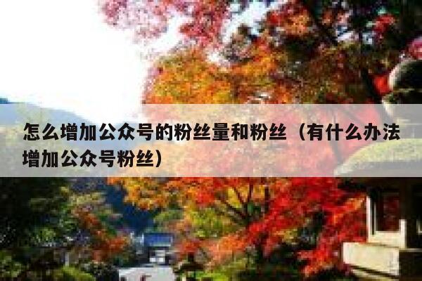 怎么增加公众号的粉丝量和粉丝（有什么办法增加公众号粉丝） 第1张
