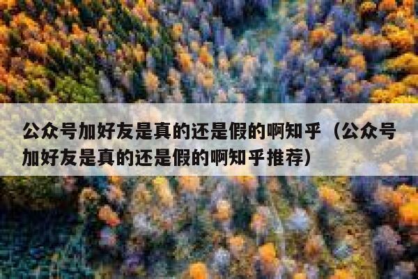 公众号加好友是真的还是假的啊知乎（公众号加好友是真的还是假的啊知乎推荐） 第1张