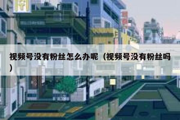 视频号没有粉丝怎么办呢（视频号没有粉丝吗） 第1张