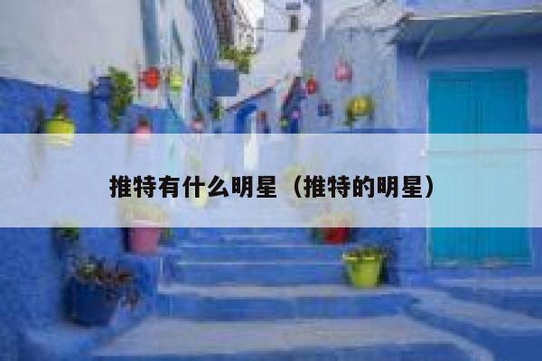 推特有什么明星（推特的明星） 第1张