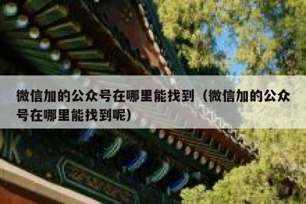 微信加的公众号在哪里能找到（微信加的公众号在哪里能找到呢） 第1张
