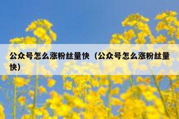 公众号怎么涨粉丝量快（公众号怎么涨粉丝量快） 第1张