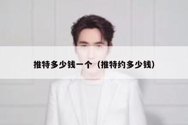 推特多少钱一个（推特约多少钱） 第1张