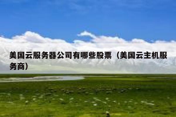 美国云服务器公司有哪些股票（美国云主机服务商） 第1张