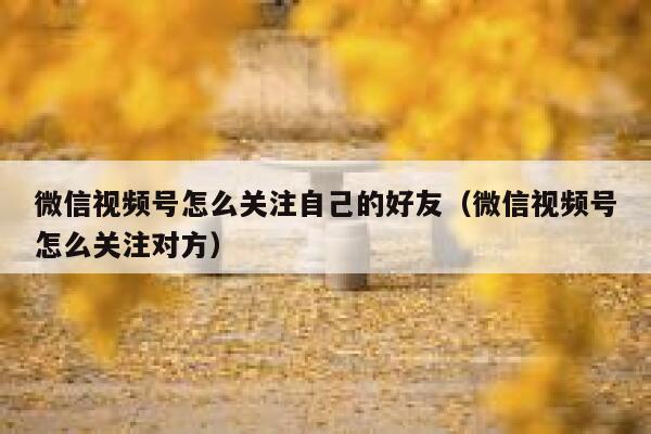微信视频号怎么关注自己的好友（微信视频号怎么关注对方） 第1张