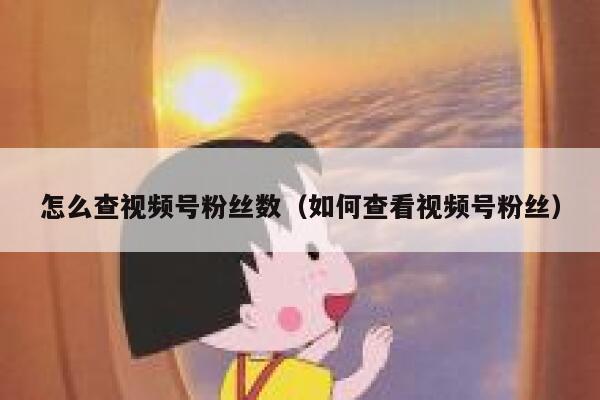 怎么查视频号粉丝数（如何查看视频号粉丝） 第1张