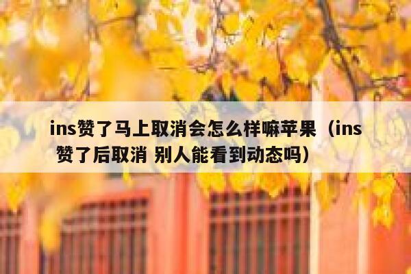ins赞了马上取消会怎么样嘛苹果（ins 赞了后取消 别人能看到动态吗） 第1张