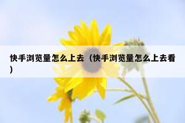 快手浏览量怎么上去（快手浏览量怎么上去看） 第1张