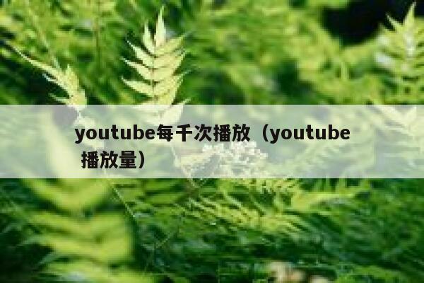 youtube每千次播放（youtube 播放量） 第1张
