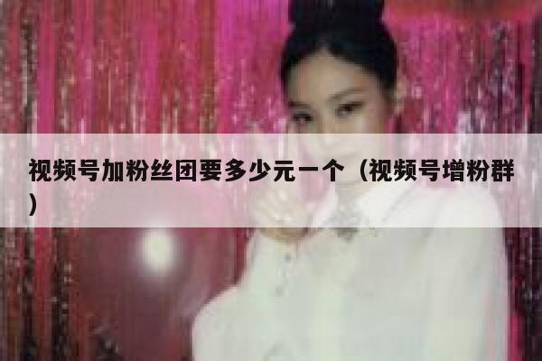 视频号加粉丝团要多少元一个（视频号增粉群） 第1张