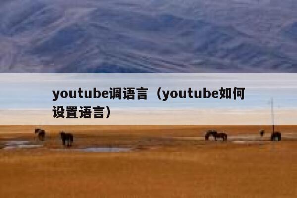 youtube调语言（youtube如何设置语言） 第1张