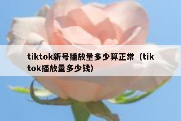 tiktok新号播放量多少算正常（tiktok播放量多少钱） 第1张