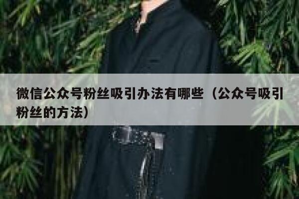 微信公众号粉丝吸引办法有哪些（公众号吸引粉丝的方法） 第1张