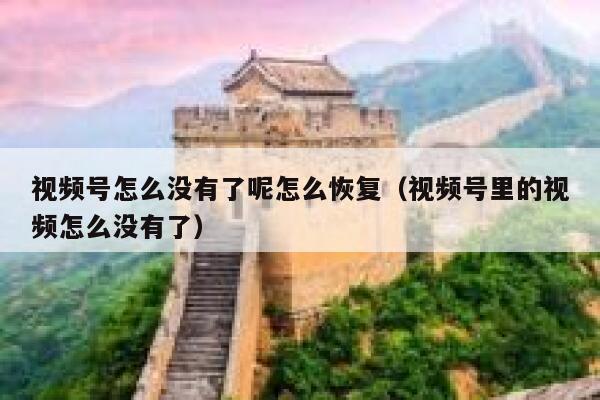 视频号怎么没有了呢怎么恢复（视频号里的视频怎么没有了） 第1张
