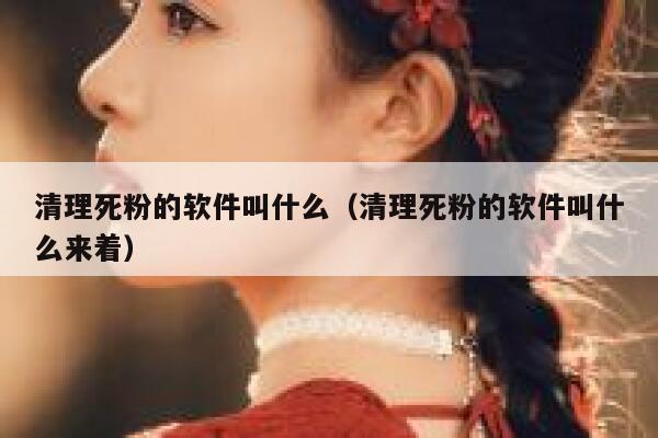 清理死粉的软件叫什么（清理死粉的软件叫什么来着） 第1张