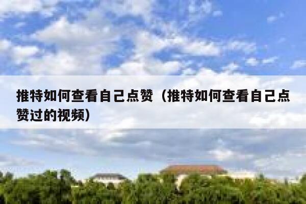 推特如何查看自己点赞（推特如何查看自己点赞过的视频） 第1张