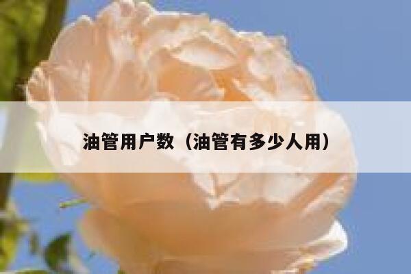 油管用户数（油管有多少人用） 第1张