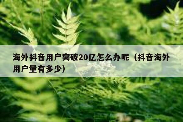 海外抖音用户突破20亿怎么办呢（抖音海外用户量有多少） 第1张
