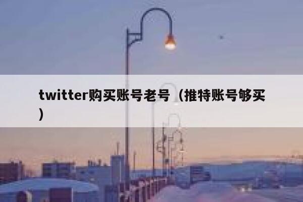 twitter购买账号老号(推特账号够买) 第1张 twitter购买账号老号(推特账号够买) 第1张