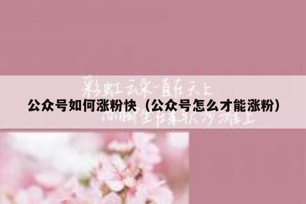 公众号如何涨粉快（公众号怎么才能涨粉） 第1张