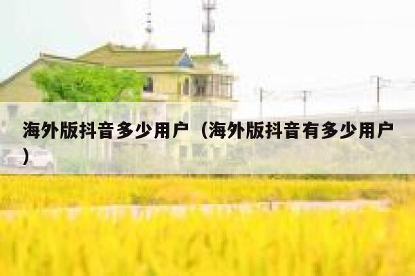 海外版抖音多少用户（海外版抖音有多少用户） 第1张