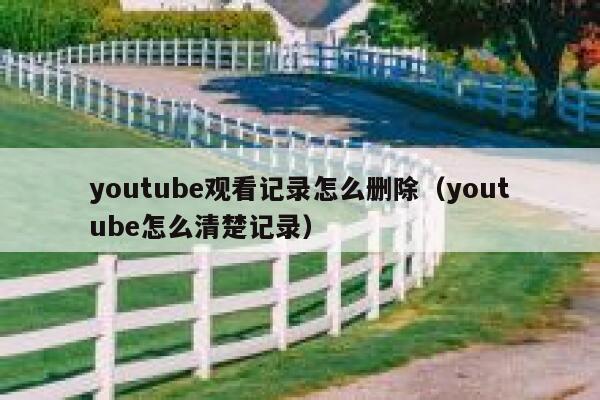 youtube观看记录怎么删除（youtube怎么清楚记录） 第1张