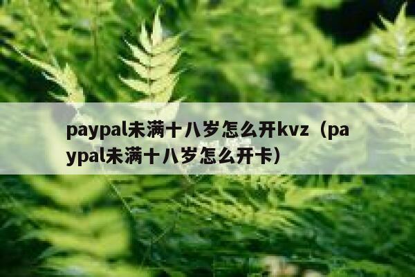 paypal未满十八岁怎么开kvz（paypal未满十八岁怎么开卡） 第1张