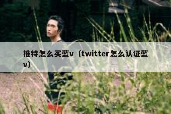 推特怎么买蓝v（twitter怎么认证蓝v） 第1张