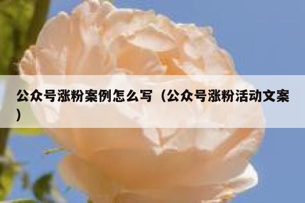 公众号涨粉案例怎么写（公众号涨粉活动文案） 第1张