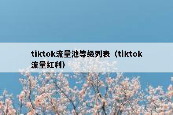 tiktok流量池等级列表（tiktok流量红利） 第1张