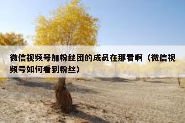 微信视频号加粉丝团的成员在那看啊(微信视频号如何看到粉丝) 第1张 微信视频号加粉丝团的成员在那看啊(微信视频号如何看到粉丝) 第1张