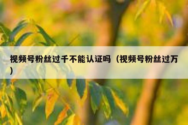 视频号粉丝过千不能认证吗（视频号粉丝过万） 第1张