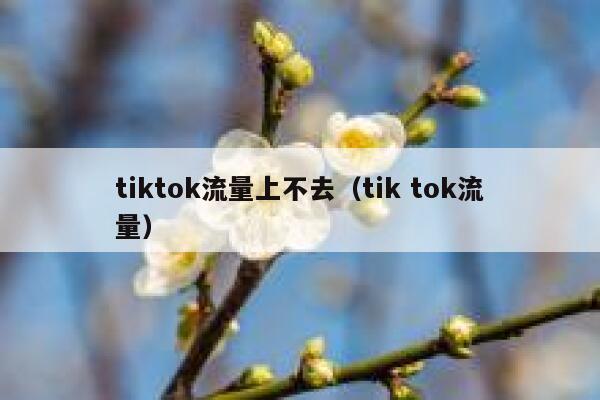 tiktok流量上不去（tik tok流量） 第1张