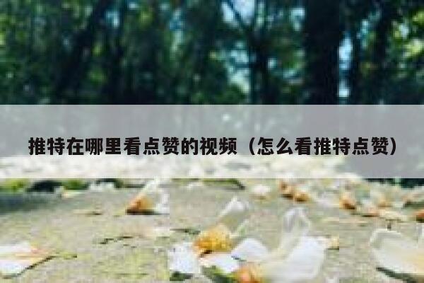 推特在哪里看点赞的视频（怎么看推特点赞） 第1张