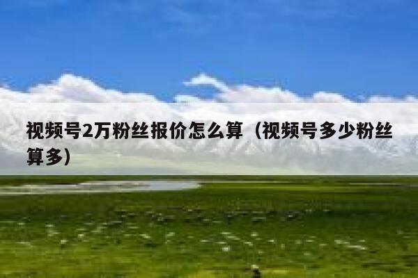 视频号2万粉丝报价怎么算（视频号多少粉丝算多） 第1张