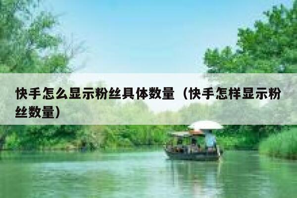 快手怎么显示粉丝具体数量（快手怎样显示粉丝数量） 第1张