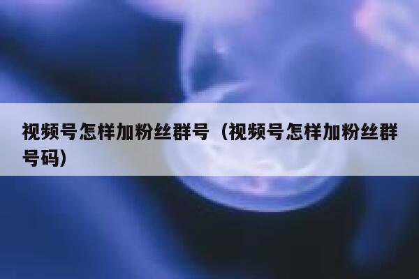 视频号怎样加粉丝群号（视频号怎样加粉丝群号码） 第1张
