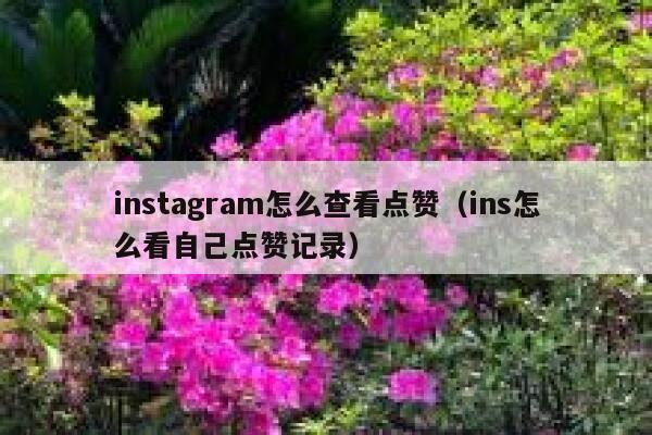instagram怎么查看点赞（ins怎么看自己点赞记录） 第1张