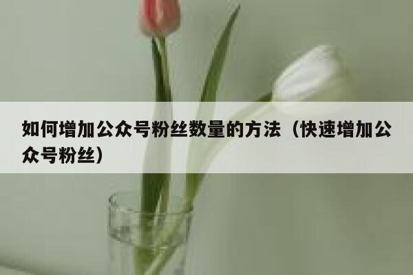 如何增加公众号粉丝数量的方法（快速增加公众号粉丝） 第1张