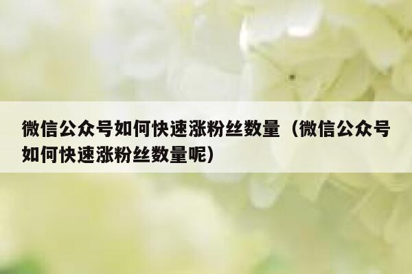 微信公众号如何快速涨粉丝数量（微信公众号如何快速涨粉丝数量呢） 第1张