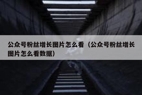 公众号粉丝增长图片怎么看（公众号粉丝增长图片怎么看数据） 第1张