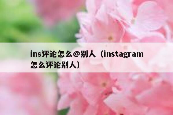 ins评论怎么@别人（instagram怎么评论别人） 第1张