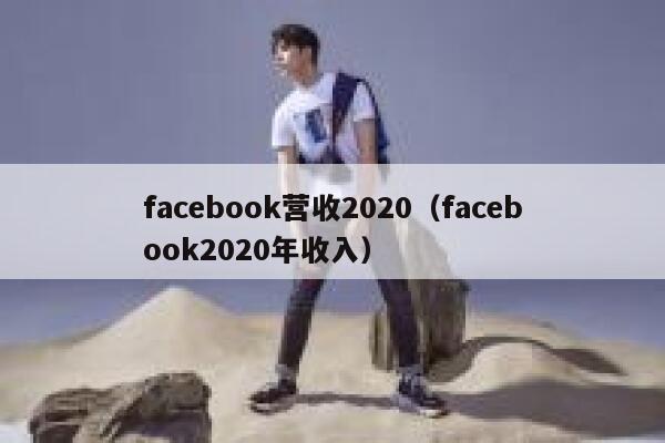 facebook营收2020（facebook2020年收入） 第1张