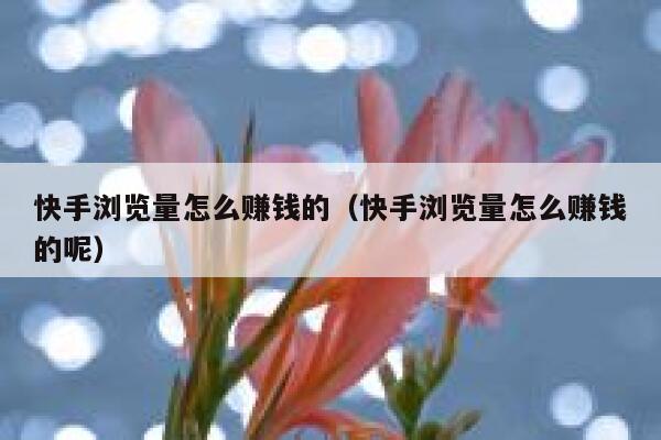 快手浏览量怎么赚钱的（快手浏览量怎么赚钱的呢） 第1张